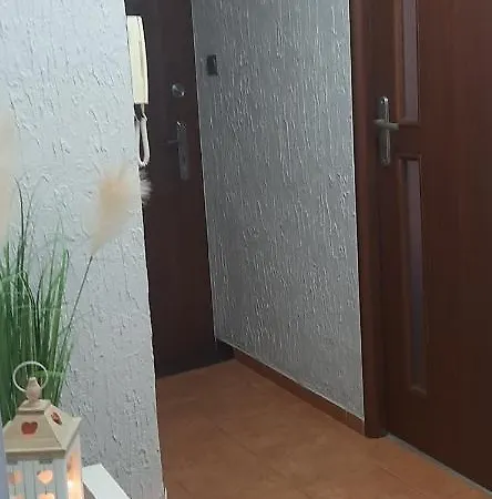 Flowers Apartament *